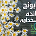  البابونج | فوائده واهم استخداماته